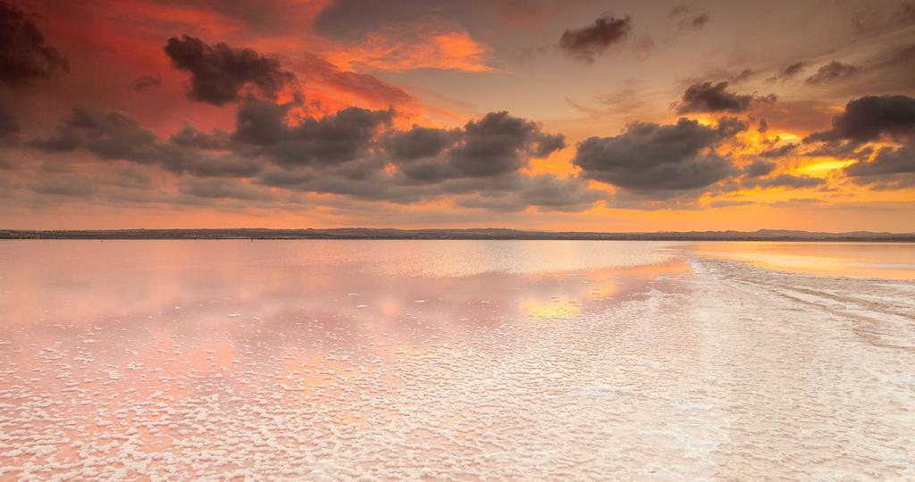 Apartamento Los Pinos Lägenhet San Miguel De Salinas Exteriör bild